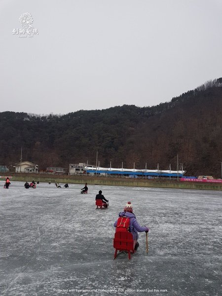 韓國江原道華川鱒魚慶典_雪橇b.jpg