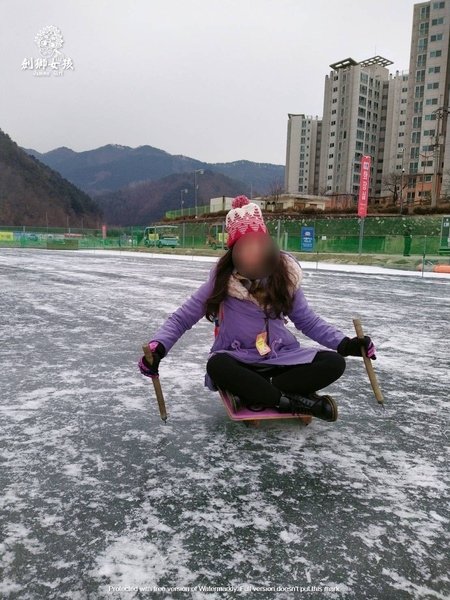 韓國江原道華川鱒魚慶典_傳統雪橇1.jpg