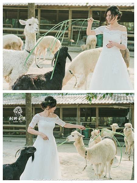 台南動物園頑皮世界_水豚個人婚紗j (1).jpg