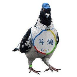 google_pigeon_DV_20090401024438.jpg