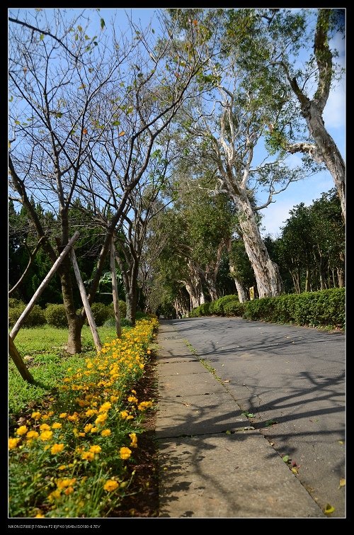 走道.jpg