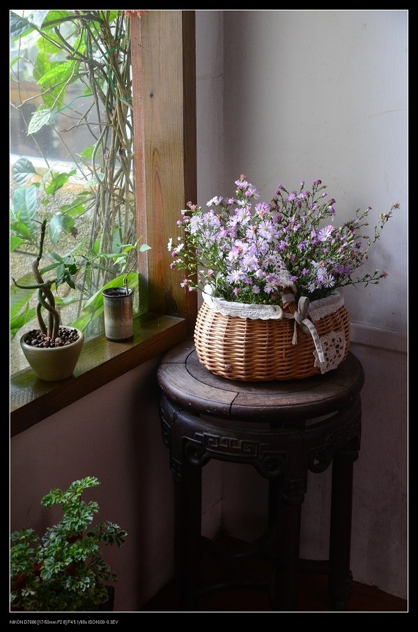 盆花.jpg
