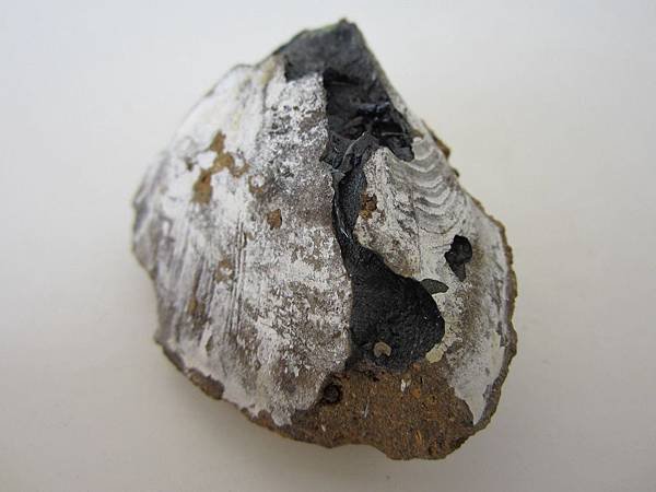 VIVIANITE7-2