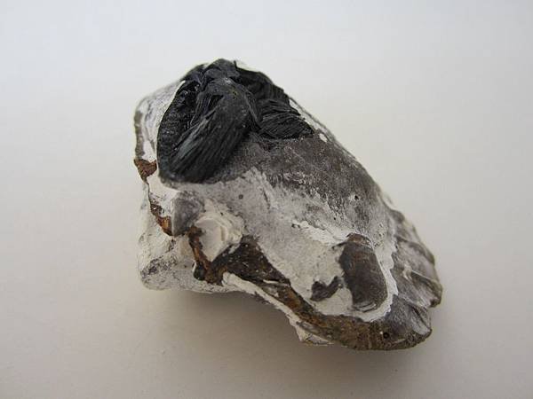 VIVIANITE9-6