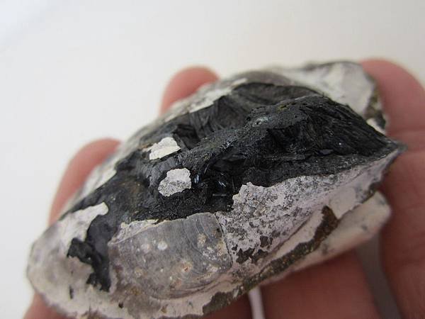 VIVIANITE9-10