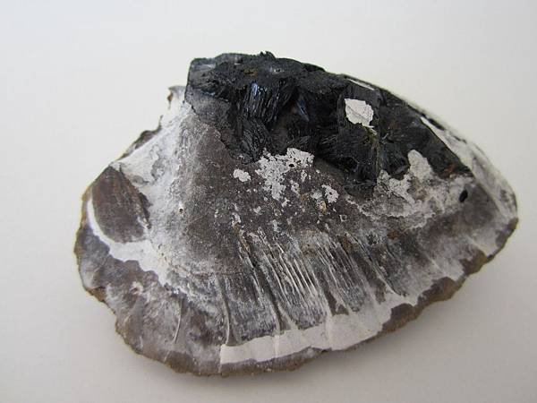 VIVIANITE9-2