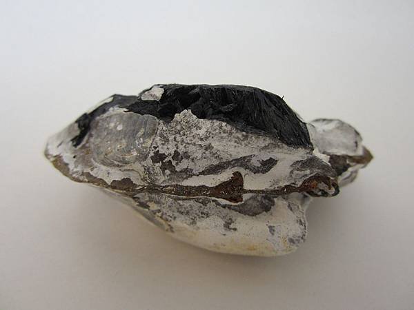 VIVIANITE9-5