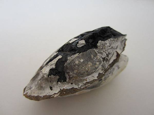 VIVIANITE9-4