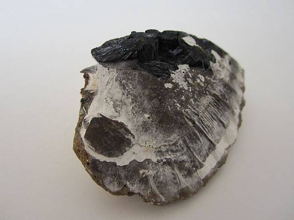 VIVIANITE9-7