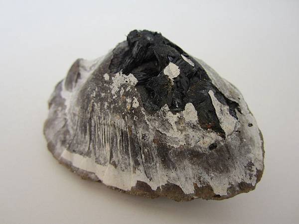 VIVIANITE9-3