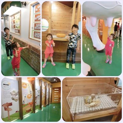 苗栗觀光工廠11
