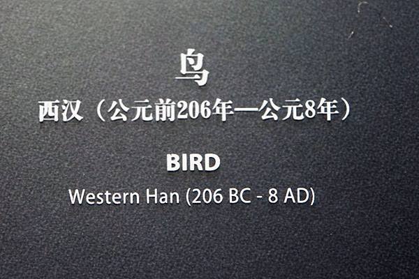 sony (160).JPG