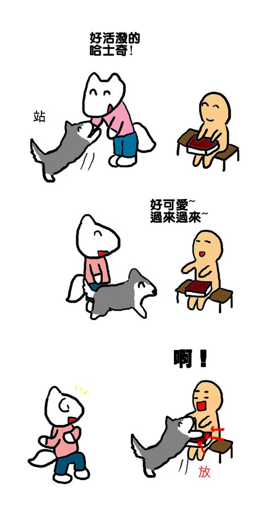 哈士奇2.jpg