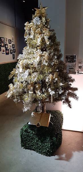 20191222_153116.jpg