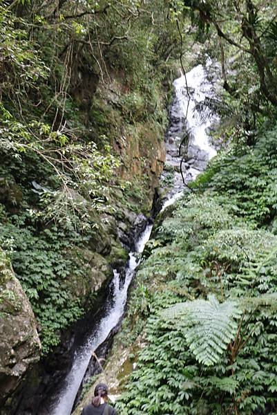 IMG_8420.JPG