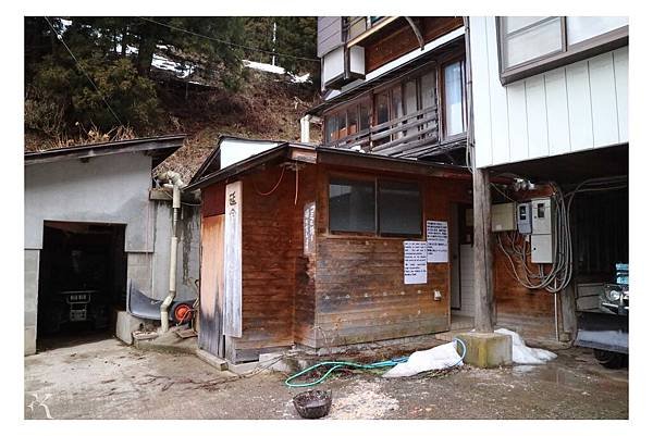 地獄谷野猿公苑18.jpg