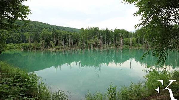 2016北海道自駕_旭川_中富良野06.jpg