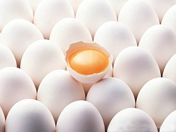 egg