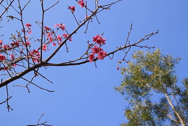 IMG_9053.JPG