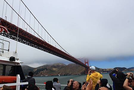 IMG_3310.JPG