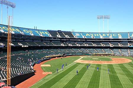 IMG_3539.JPG