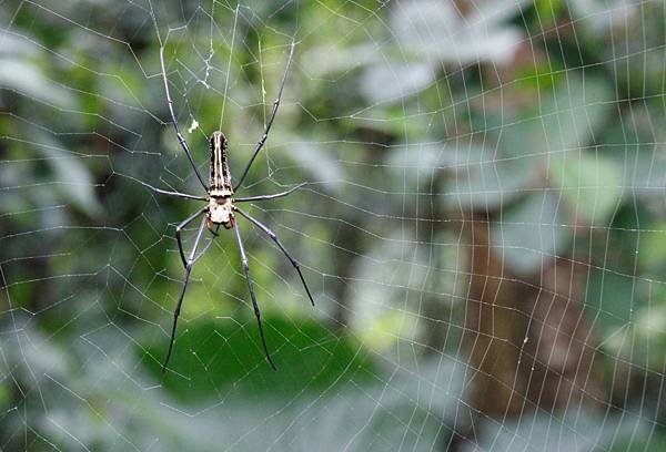 _MG_6683.JPG