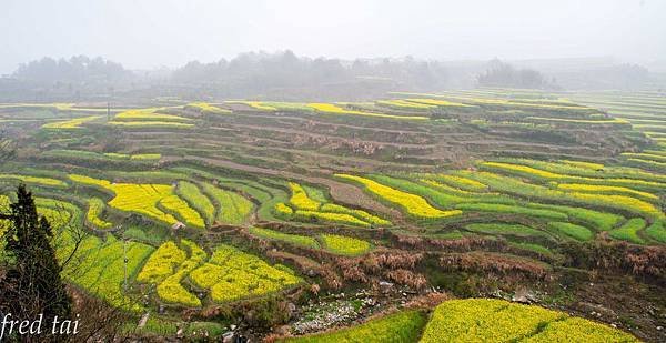 DSC_4439-1.JPG
