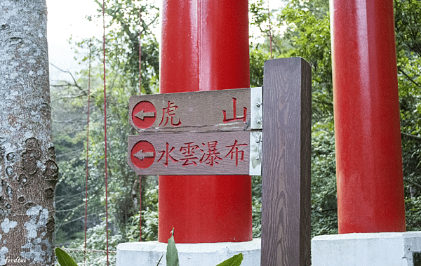 「NPG_9559」-1.png