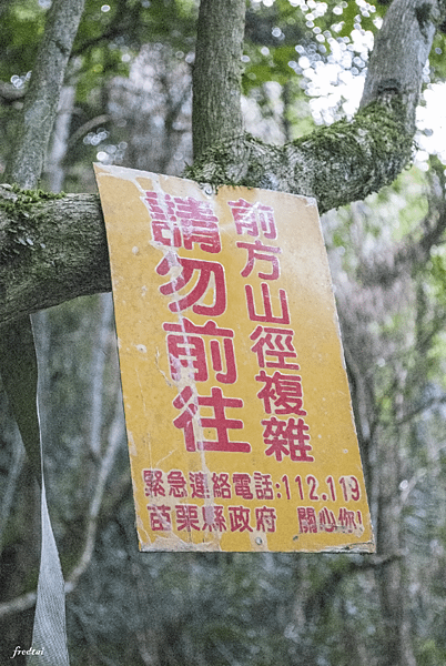 「NPG_9567」-1.png