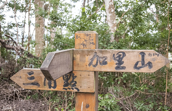 「NPG_9574」-1.png