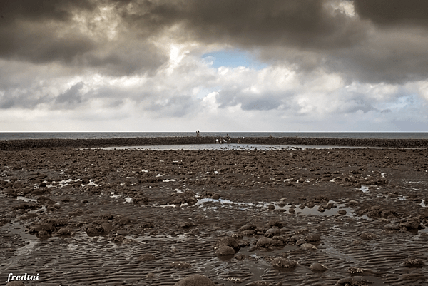 「DSC_4509」-1.png