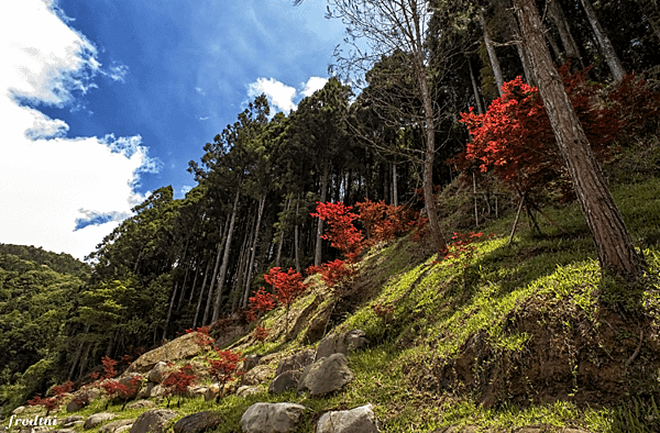 「DSC_4830」-1.png