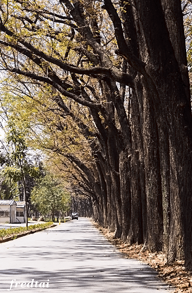 「DSC_9130」-1.png