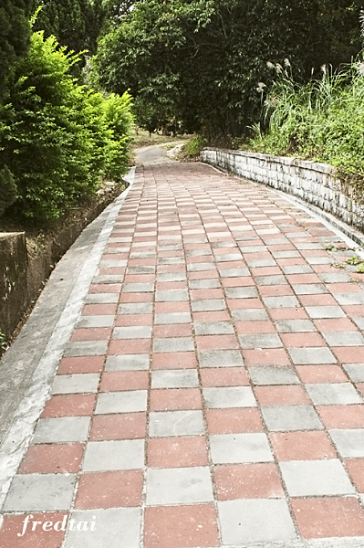 「DSC_6845」-1.png