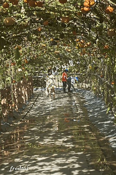 「DSC_1510」-1.png