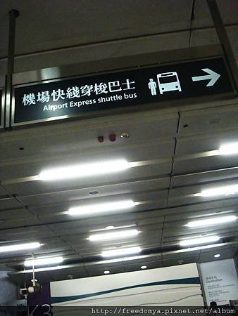 DSC00084.JPG