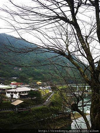 P1030812.JPG
