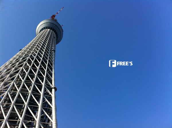 SKY TREES 2011-000.JPG