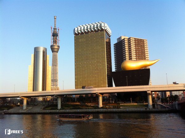 SKY TREES 2011-18.JPG