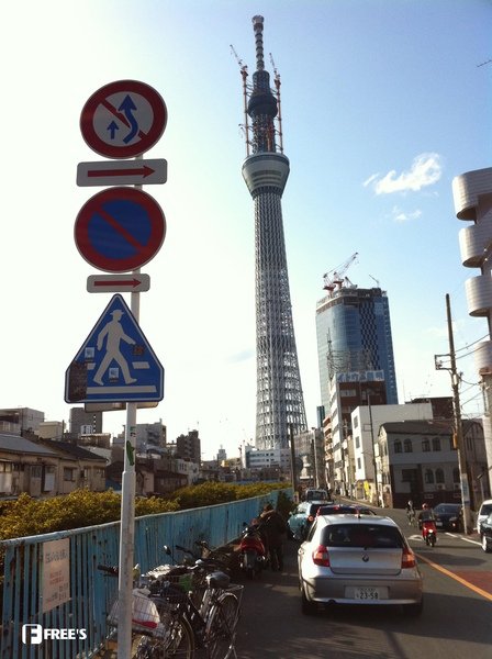 SKY TREES 2011-13.jpg