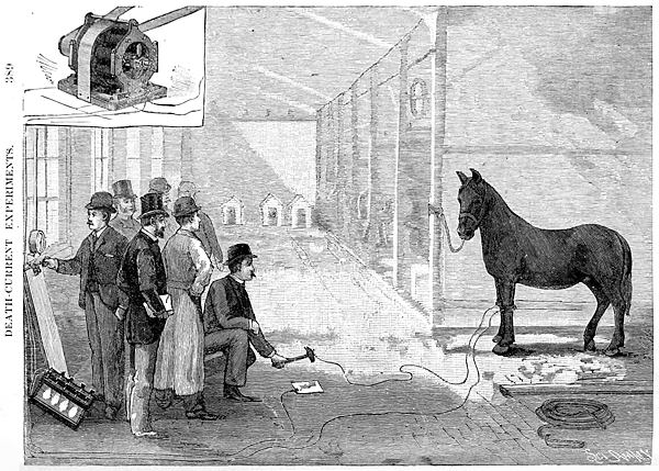 Edison-killed-a-horse-with-AC.png