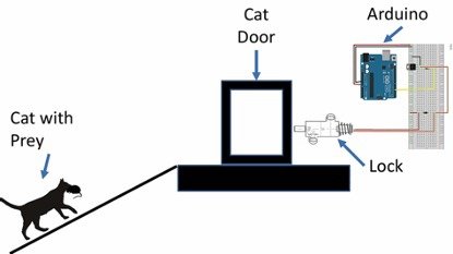 how-ai-catdoor-works-3.jpg