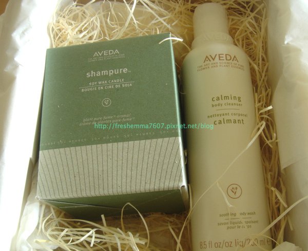 blog-Aveda.jpg