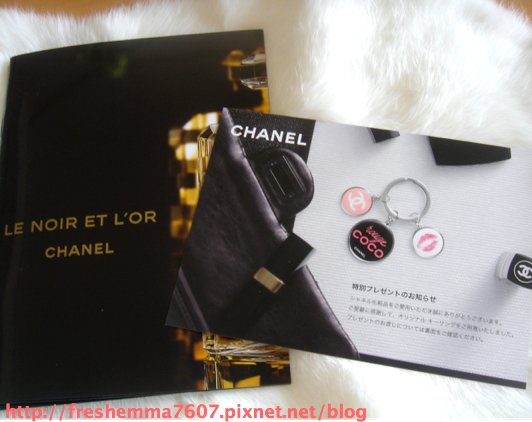 blog-2010chanel.jpg