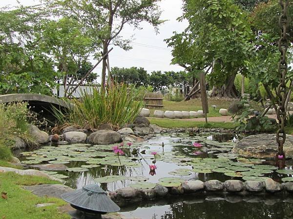 IMG_2985.JPG