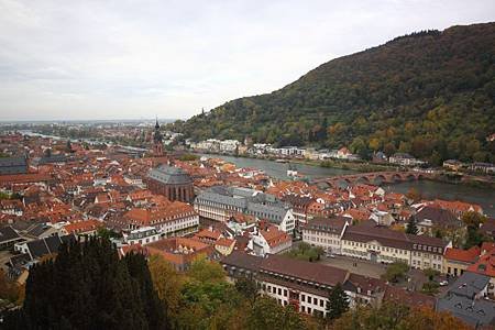 IMG_2014.JPG