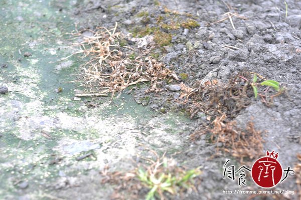 DSC_3007.jpg