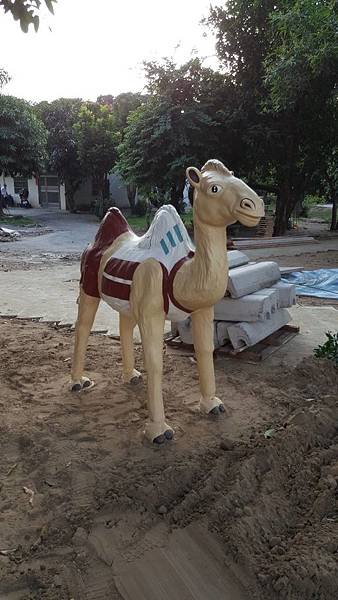 70444.jpg