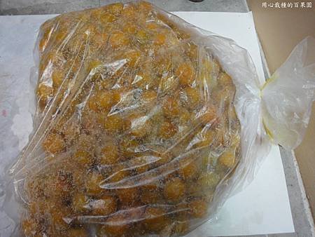 放入袋內2天