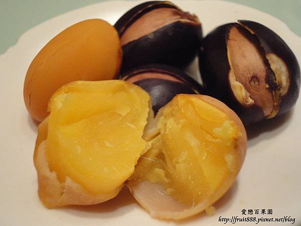 老欉蘋婆樹